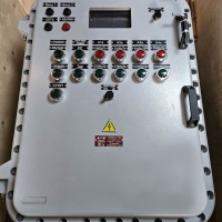 Delivery of self-cleaning mechanical filters to an oil refinery